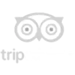 TripAdvisor-Logo.wine